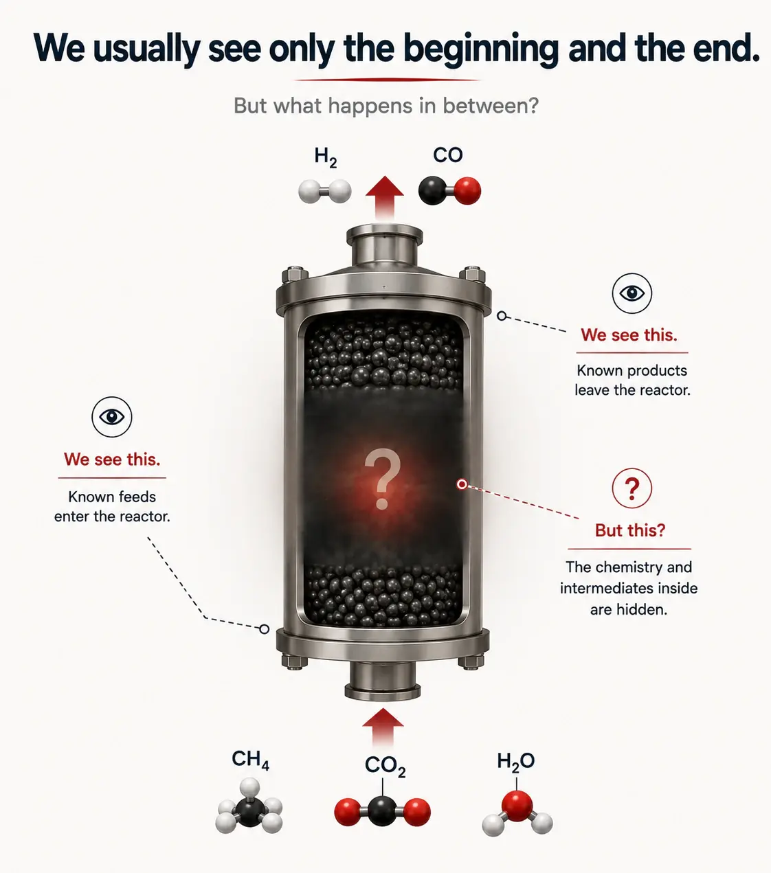 Reactor-scale view showing known inlet and outlet conditions with hidden catalyst chemistry
