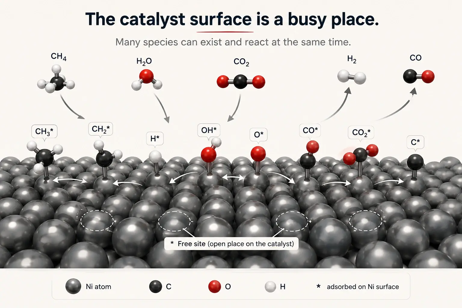 Methane, steam, carbon dioxide, and adsorbed species sharing a nickel surface