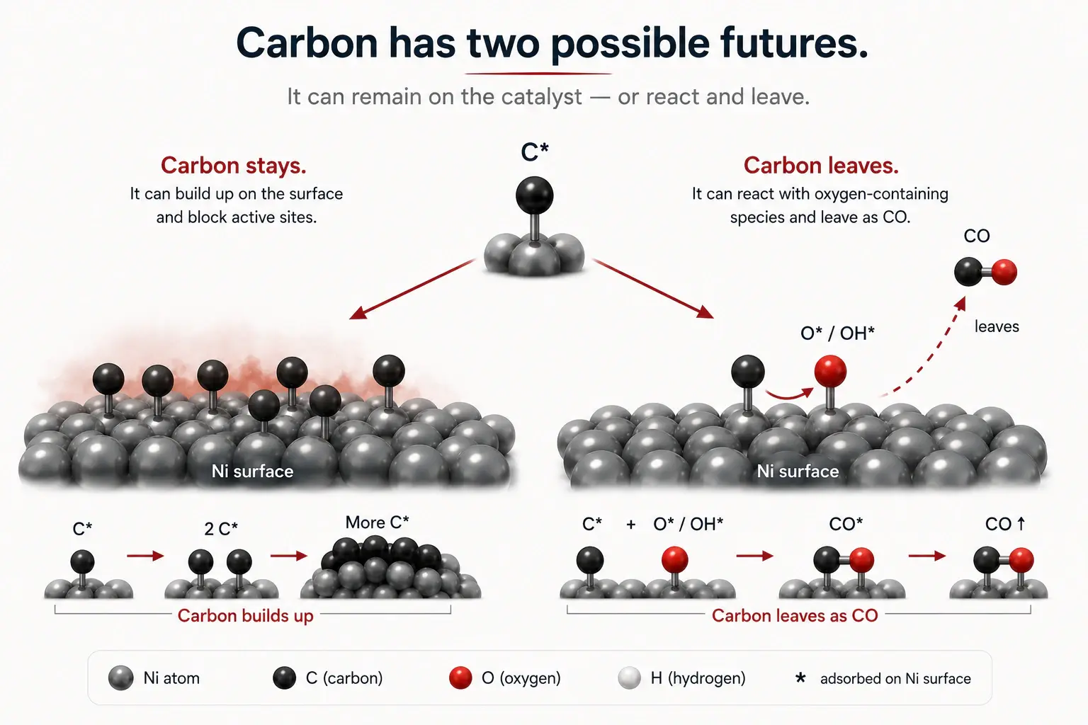 Two possible pathways for surface carbon on a nickel catalyst