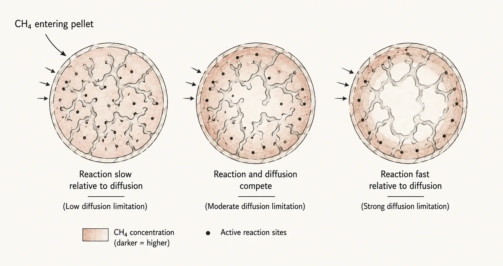 Reaction and diffusion regimes inside catalyst pellets